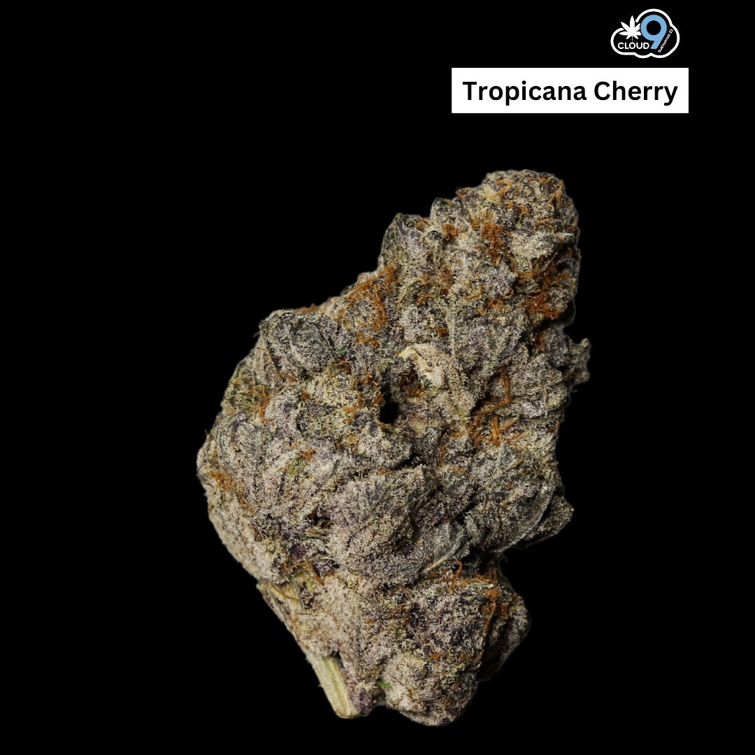 Tropicana Cherry