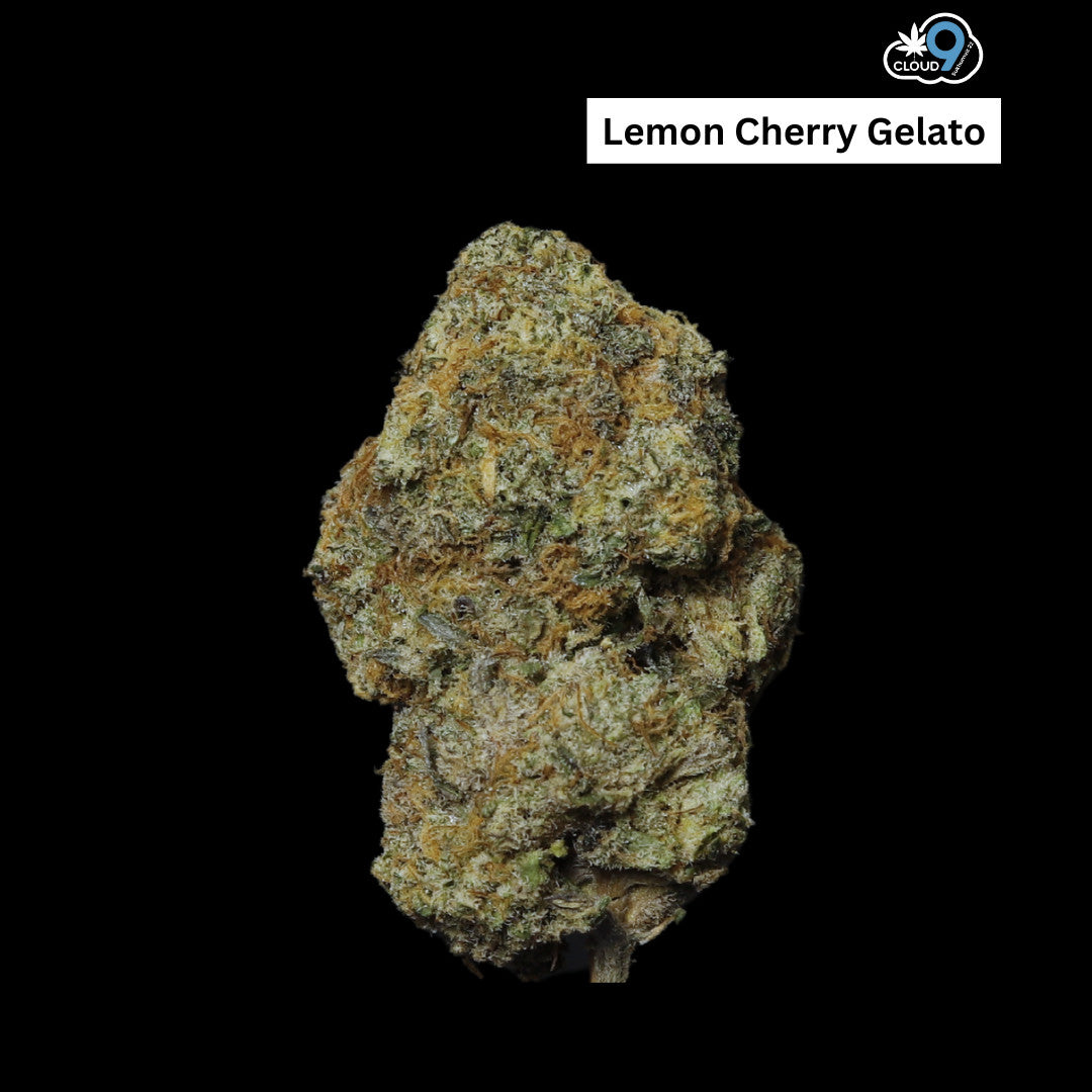 Lemon Cherry Gelato